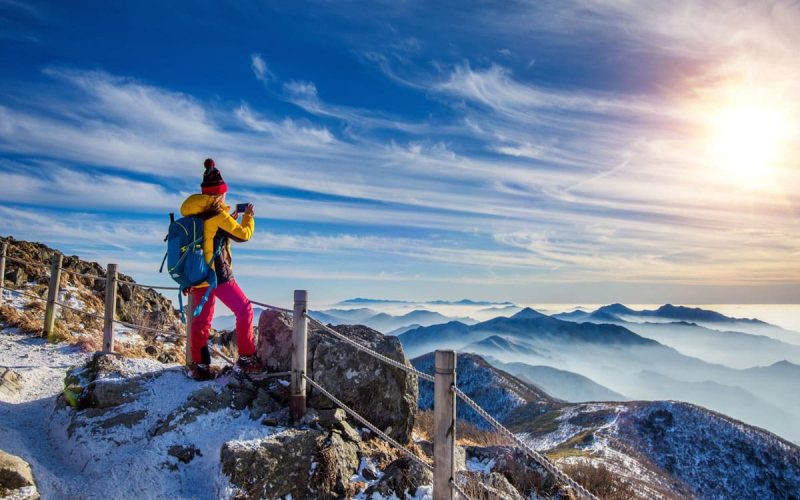 Velusce suscipit quis luctus